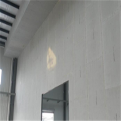 长泰宁波ALC板|EPS加气板隔墙与混凝土整浇联接的实验研讨